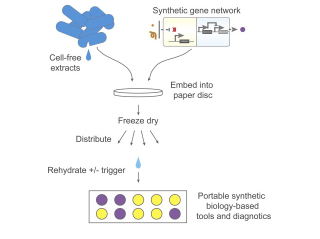 Illustration for article titled This Remarkable Scrap Of Paper Can Detect Ebola